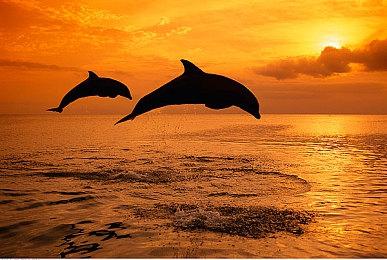 Epic表示虚幻引擎5.2已消除PSO引起的卡顿问题