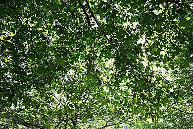 模拟经营管理游戏《玩具商店模拟》发售日公布 2025年1月13日推出