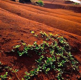 《Apex英雄》新故事短片：“抹杀代码”第一部分