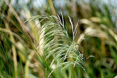 《潜行者2》早期优质MOD集锦 玩家携手完善游戏